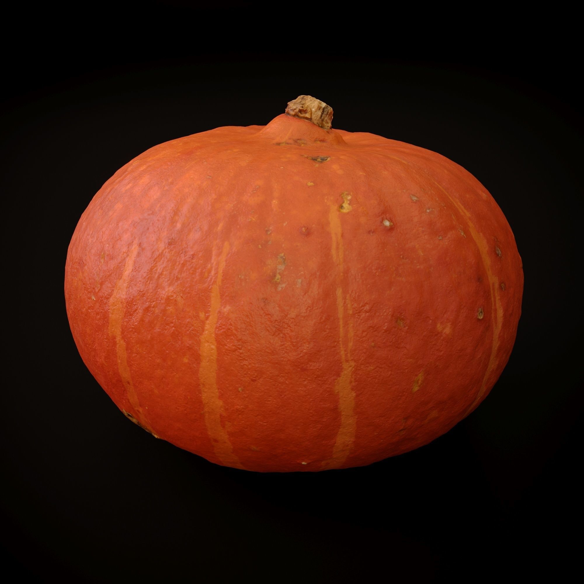 Realistic Pumpkin and Squash Pack - Scanned 3D model_10