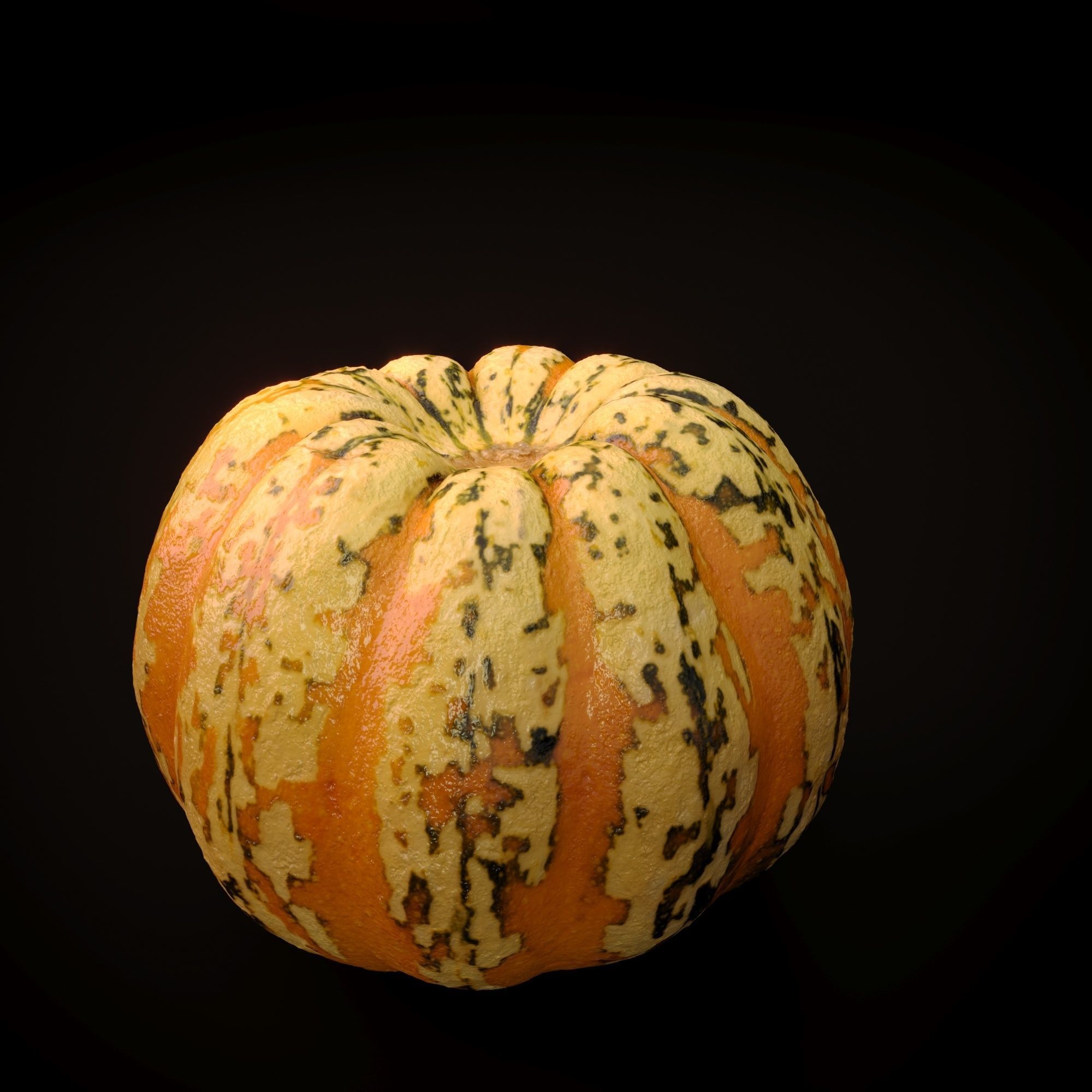 Realistic Pumpkin and Squash Pack - Scanned 3D model_8