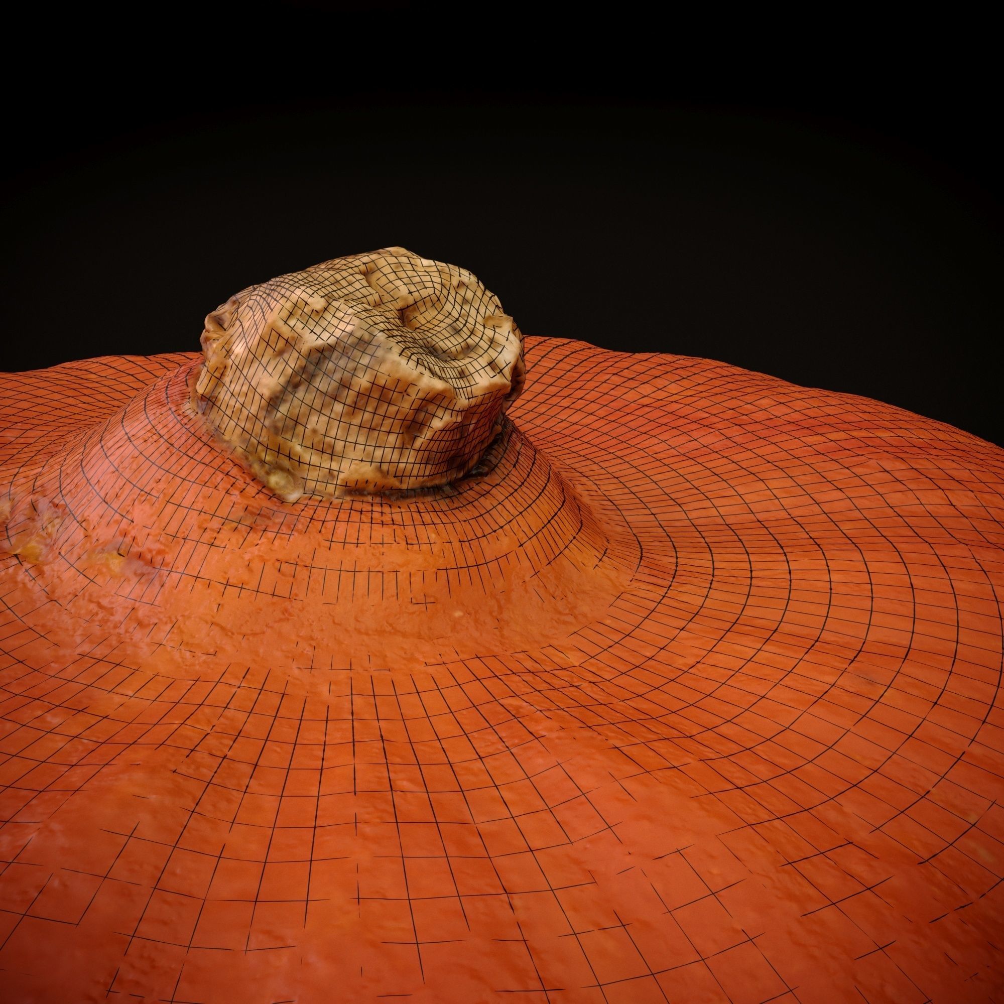 Realistic Pumpkin and Squash Pack - Scanned 3D model_9