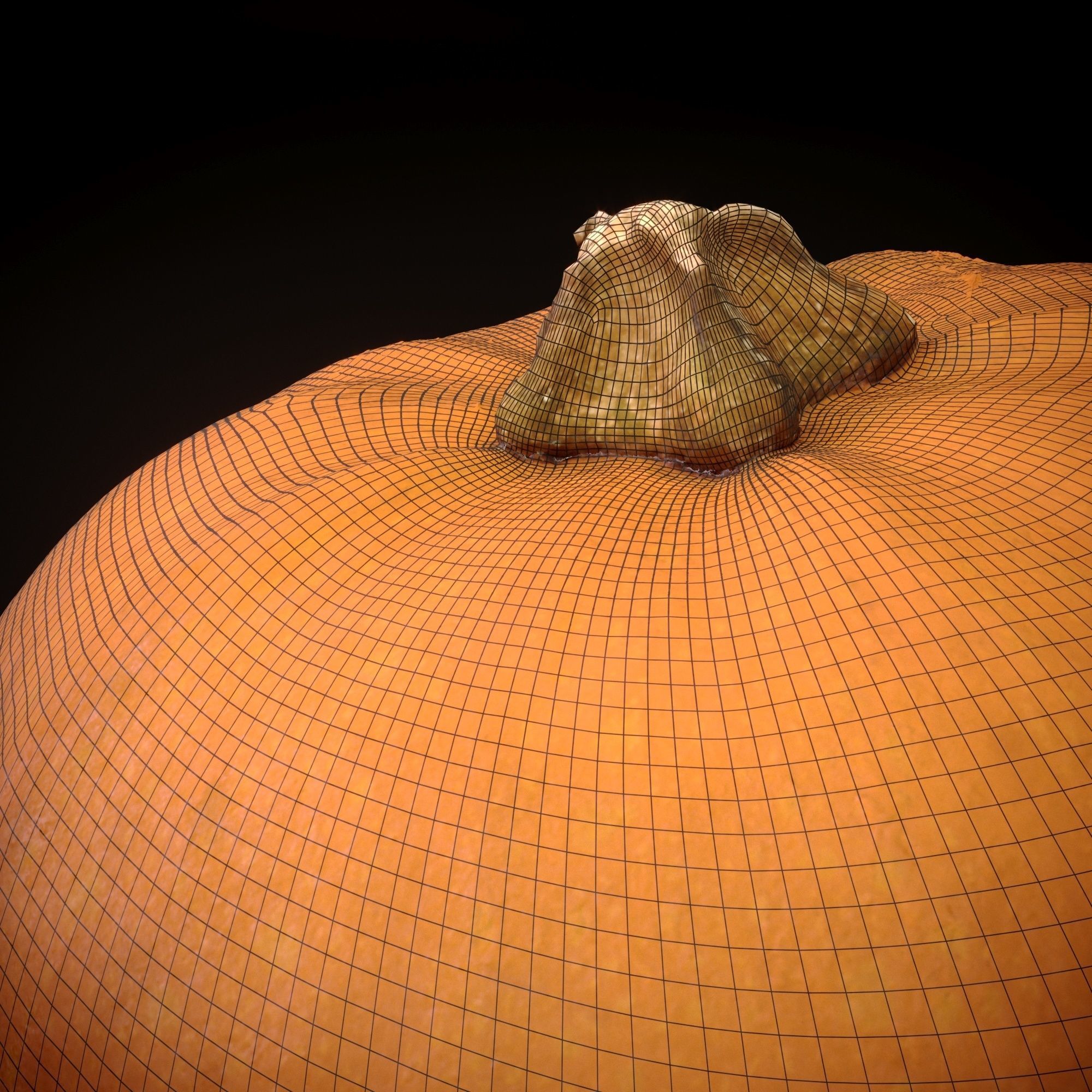 Realistic Pumpkin and Squash Pack - Scanned 3D model_3