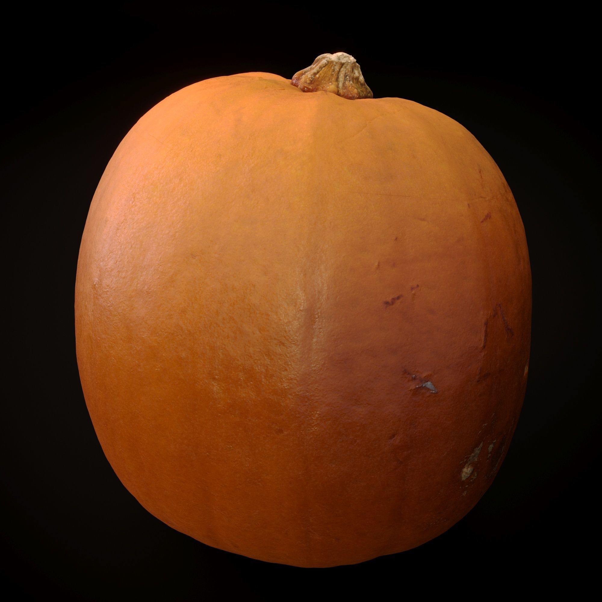 Realistic Pumpkin and Squash Pack - Scanned 3D model_4