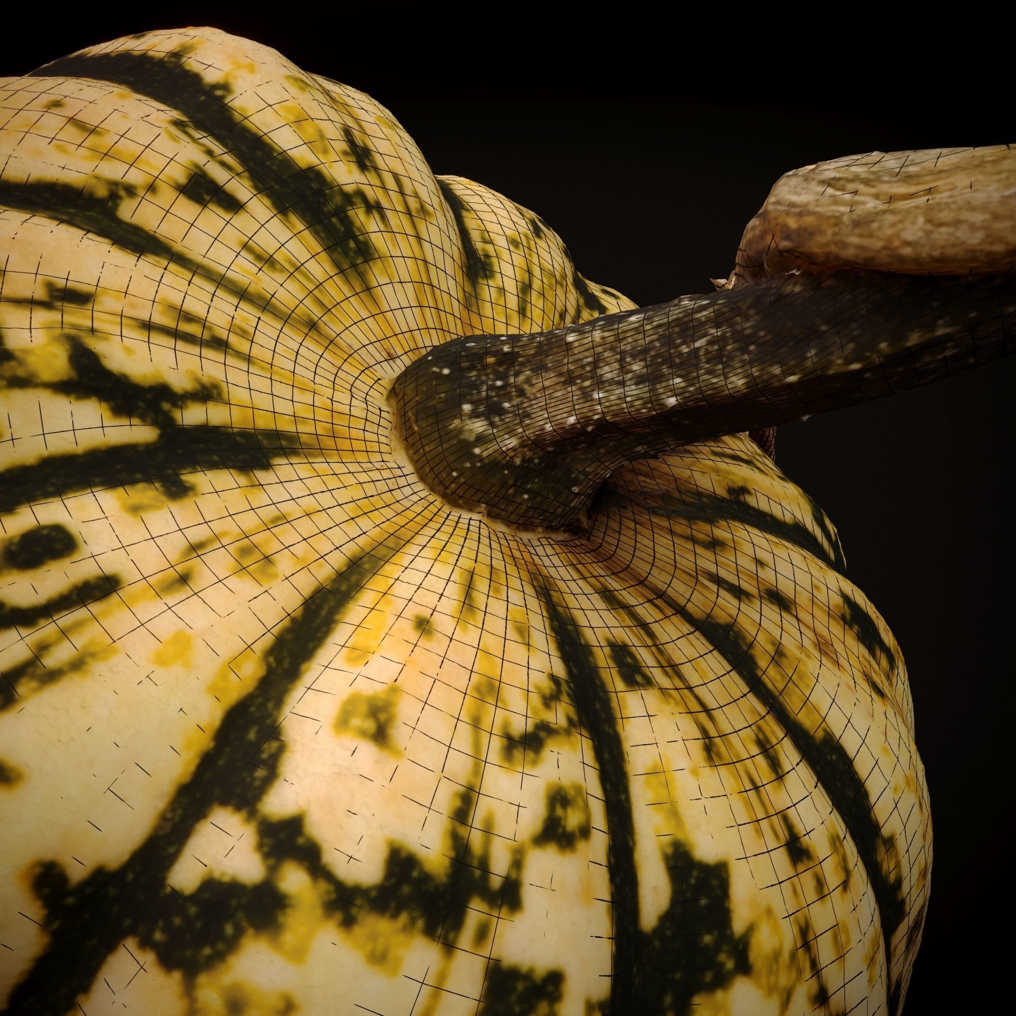 Realistic Pumpkin and Squash Pack - Scanned 3D model_5