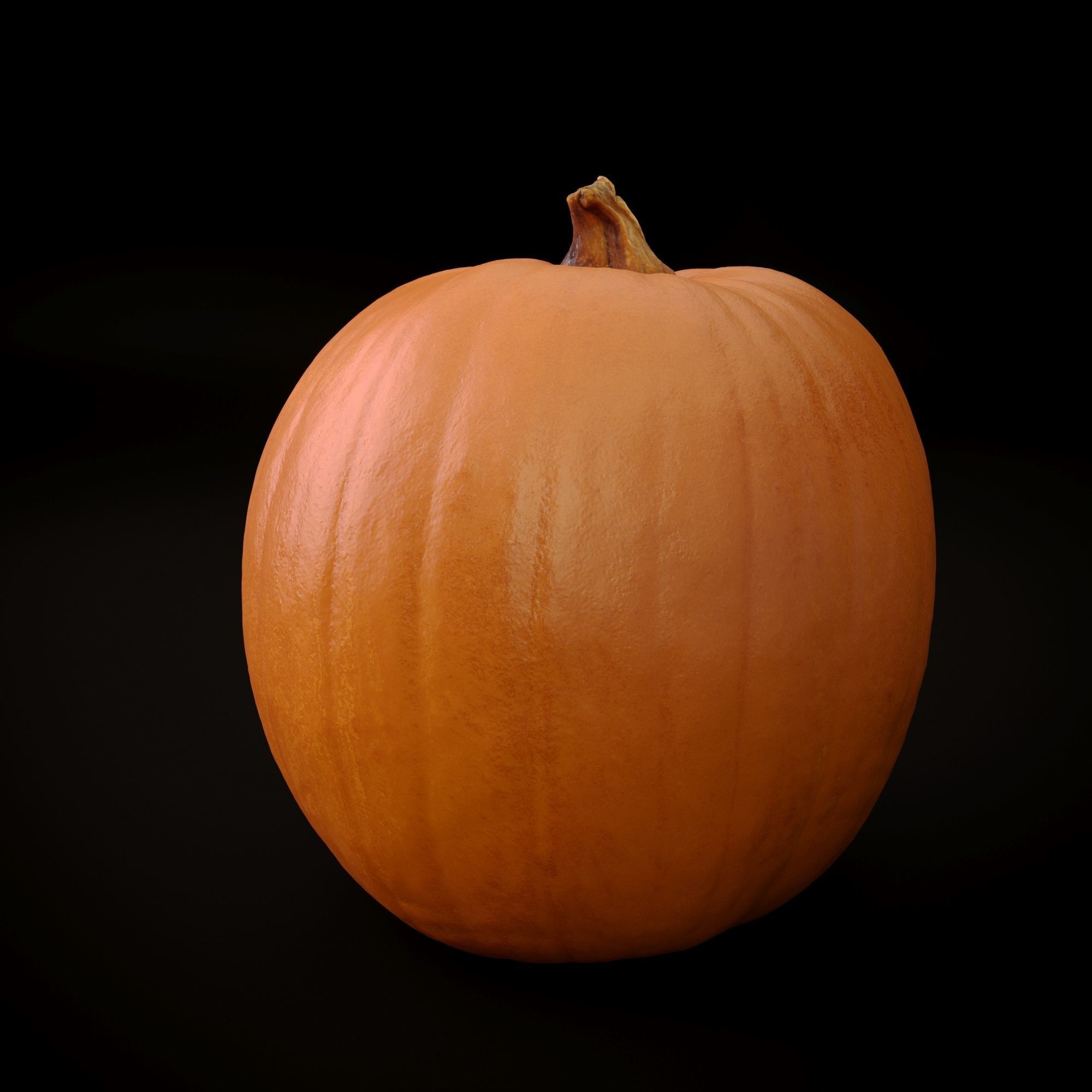 Realistic Pumpkin and Squash Pack - Scanned 3D model_2