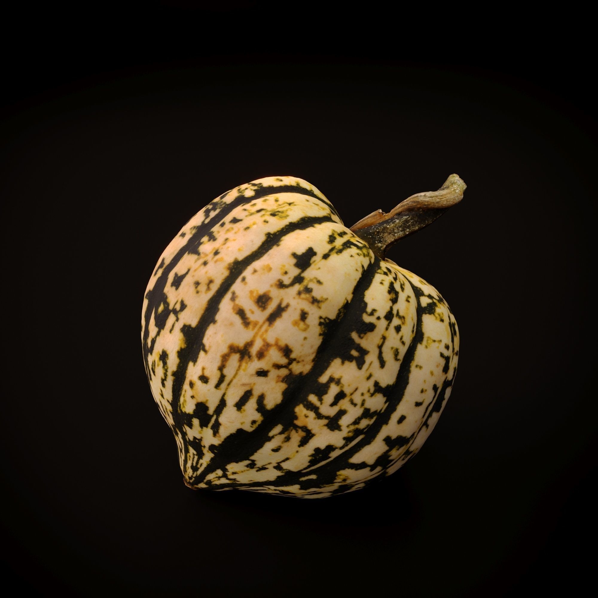 Realistic Pumpkin and Squash Pack - Scanned 3D model_6