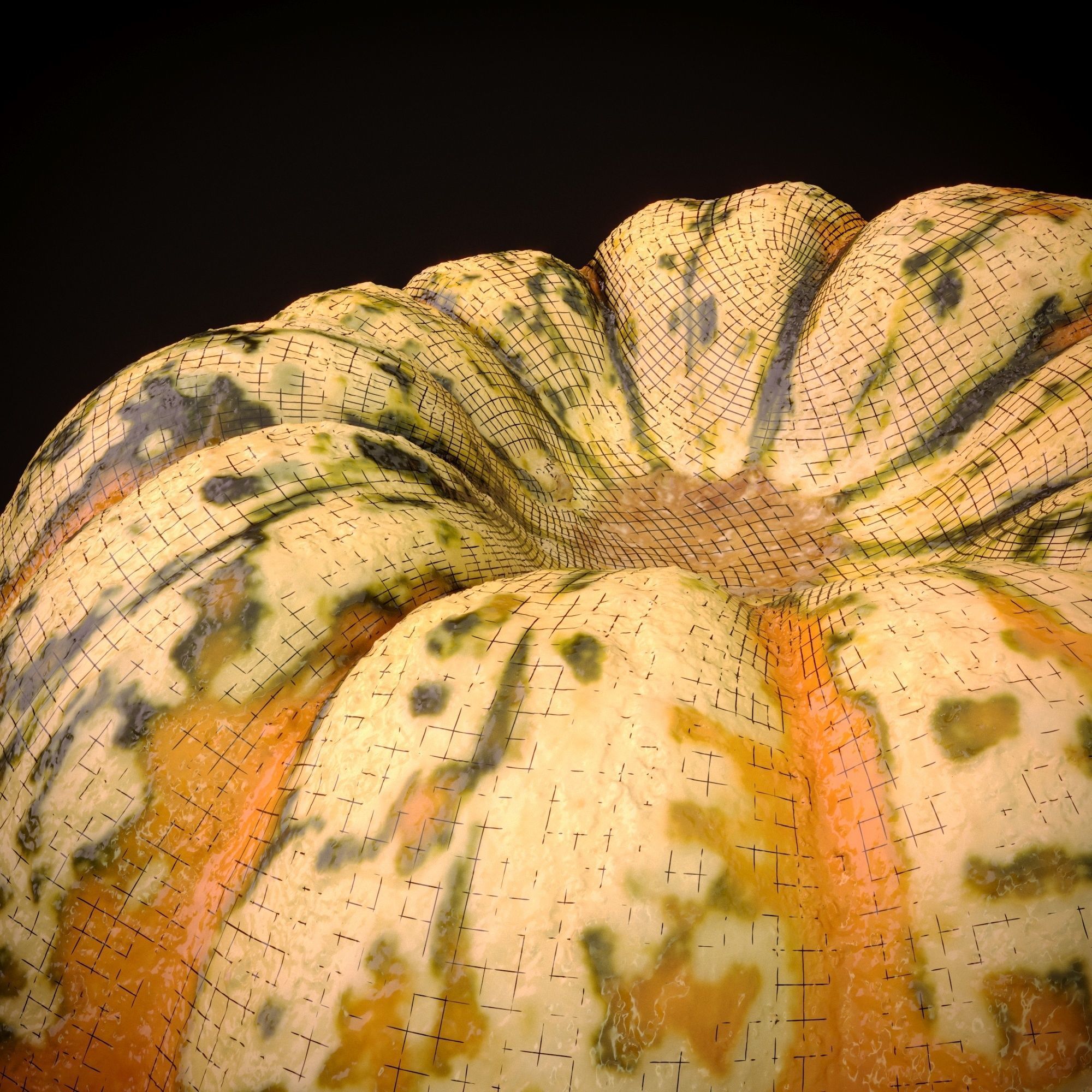 Realistic Pumpkin and Squash Pack - Scanned 3D model_7