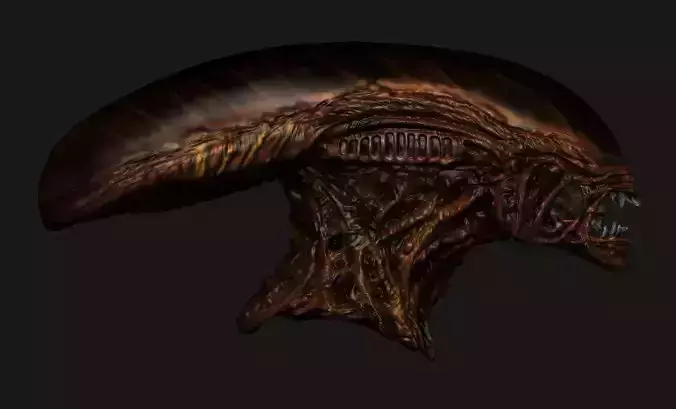 Alien Resurrection Warrior head 3D model