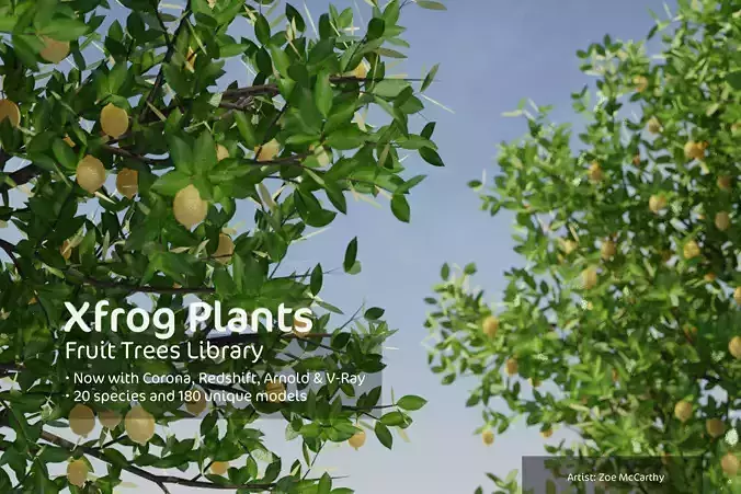2020 XfrogPlants Fruit Trees Library  3D model