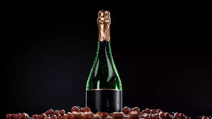 Champagne Bottle
