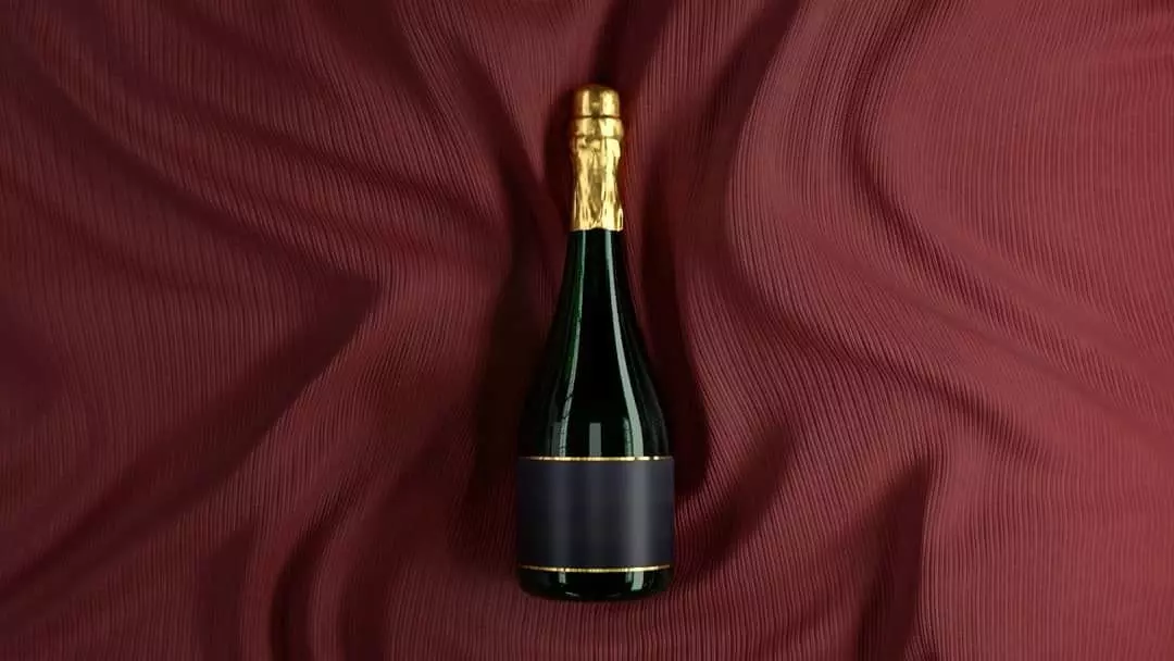 Wine Bottle With Maroon Background 3D model_0