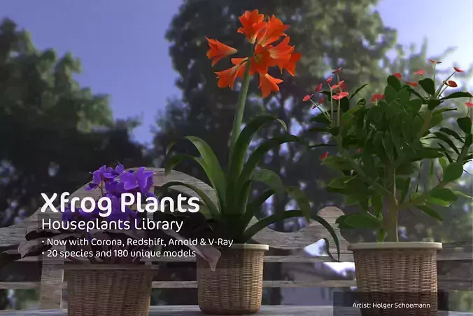 2020 XfrogPlants Houseplants Library  3D model