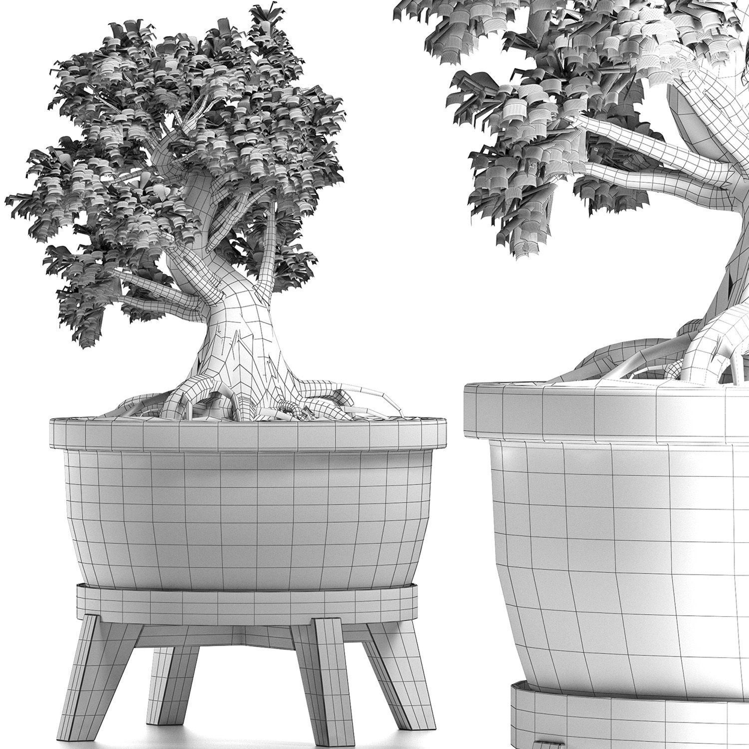 Plants Collection 173 Sageretia Theezans Mini Bonsai 3D model_5