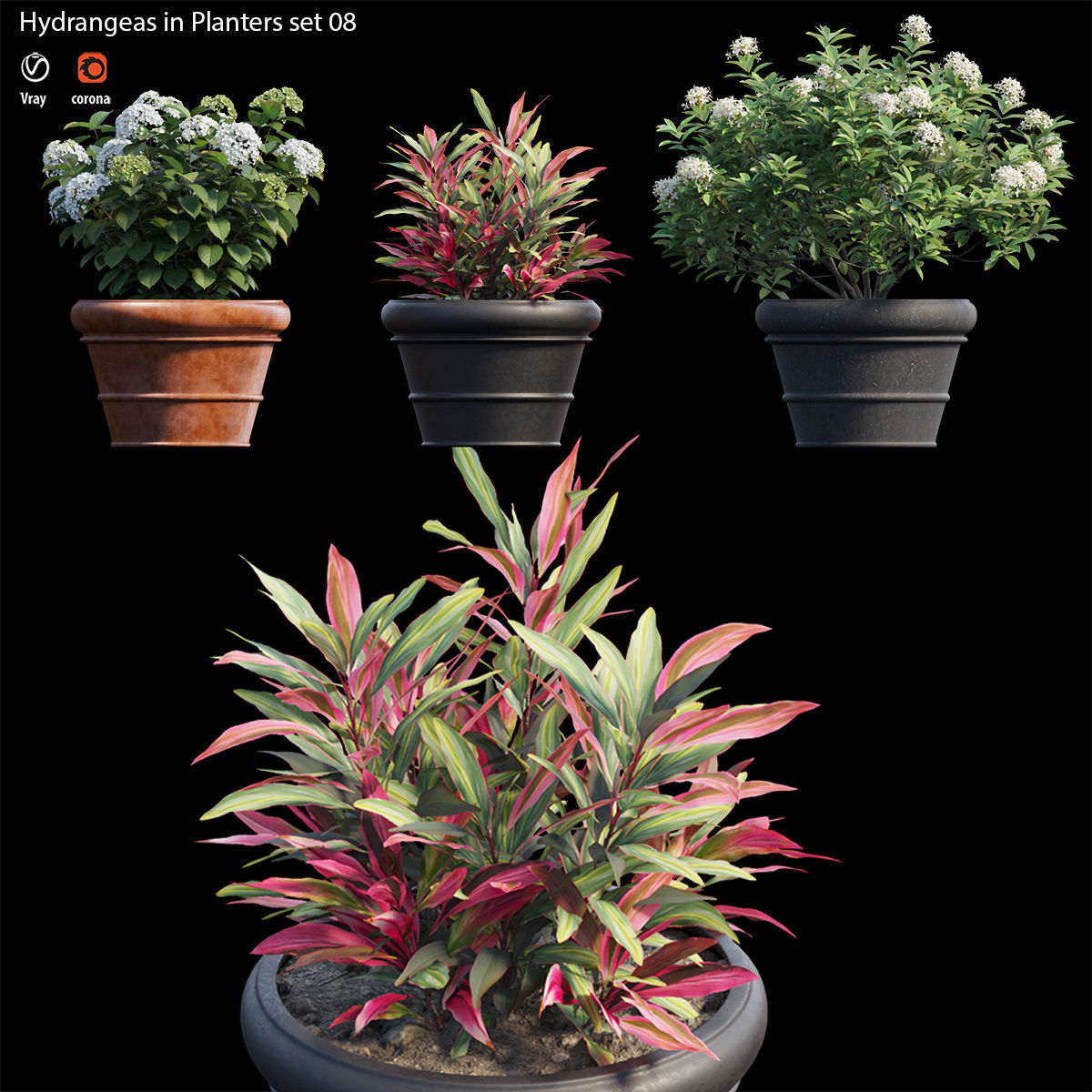 Hydrangea in planters set 08  3D model_3