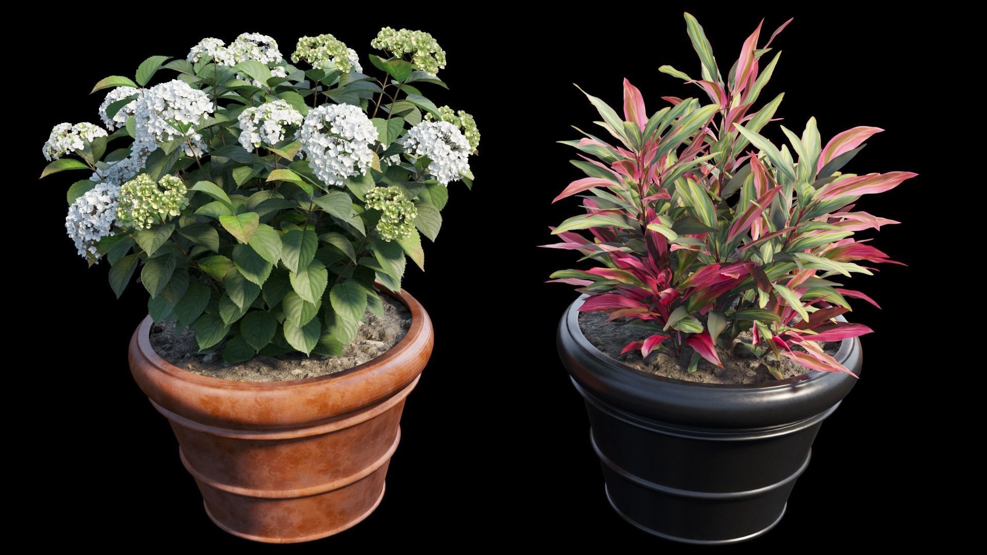 Hydrangea in planters set 08  3D model_9