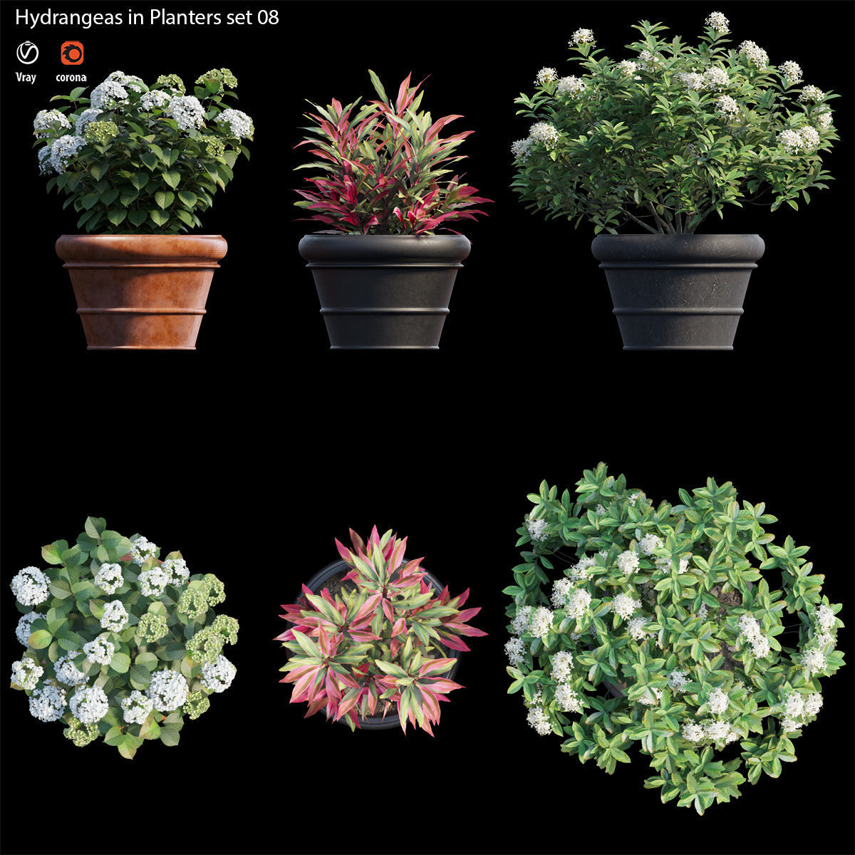 Hydrangea in planters set 08  3D model_4