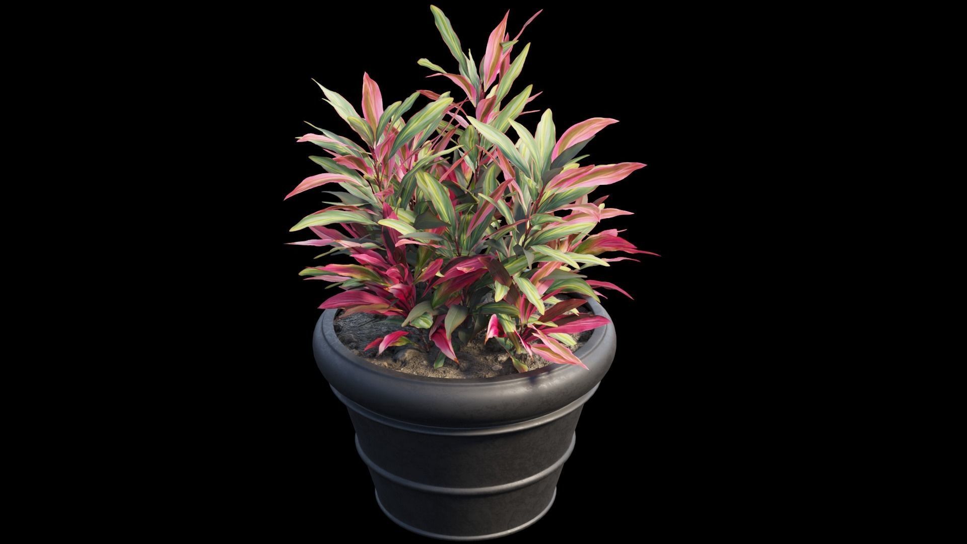 Hydrangea in planters set 08  3D model_7