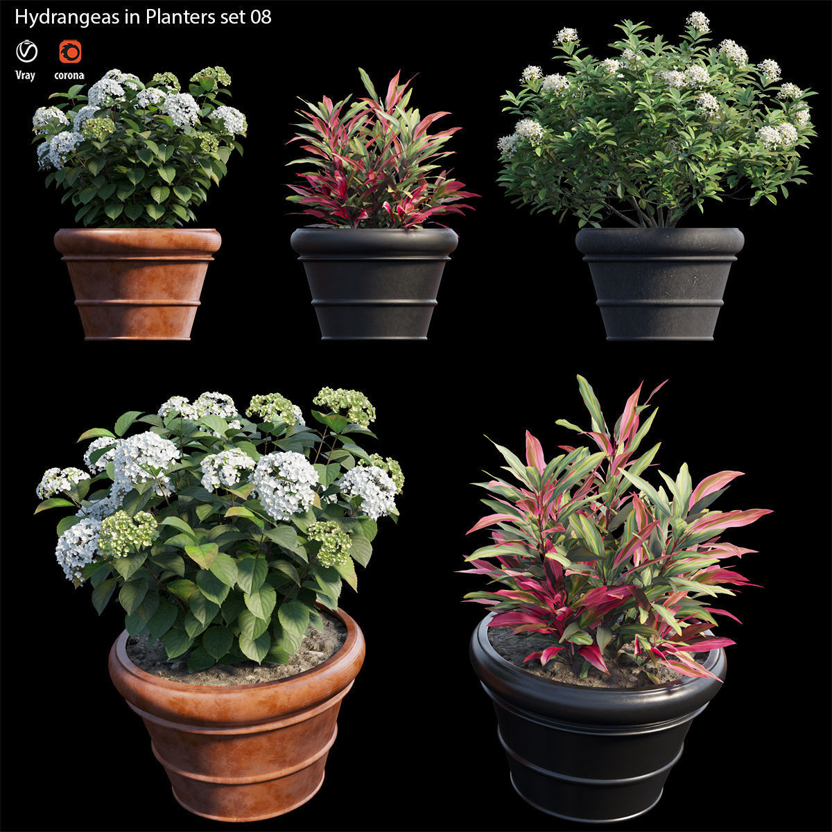 Hydrangea in planters set 08  3D model_1