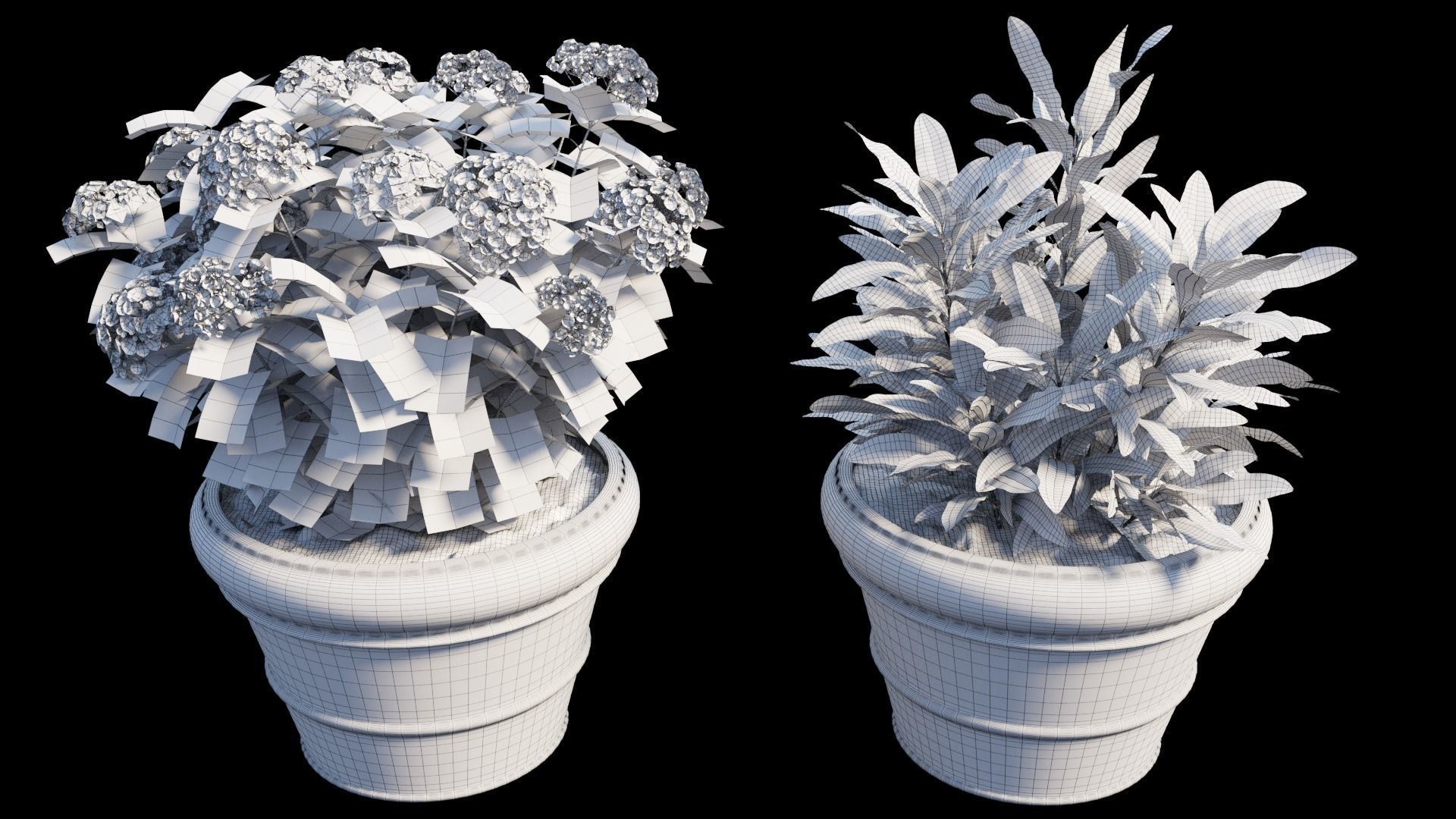 Hydrangea in planters set 08  3D model_11