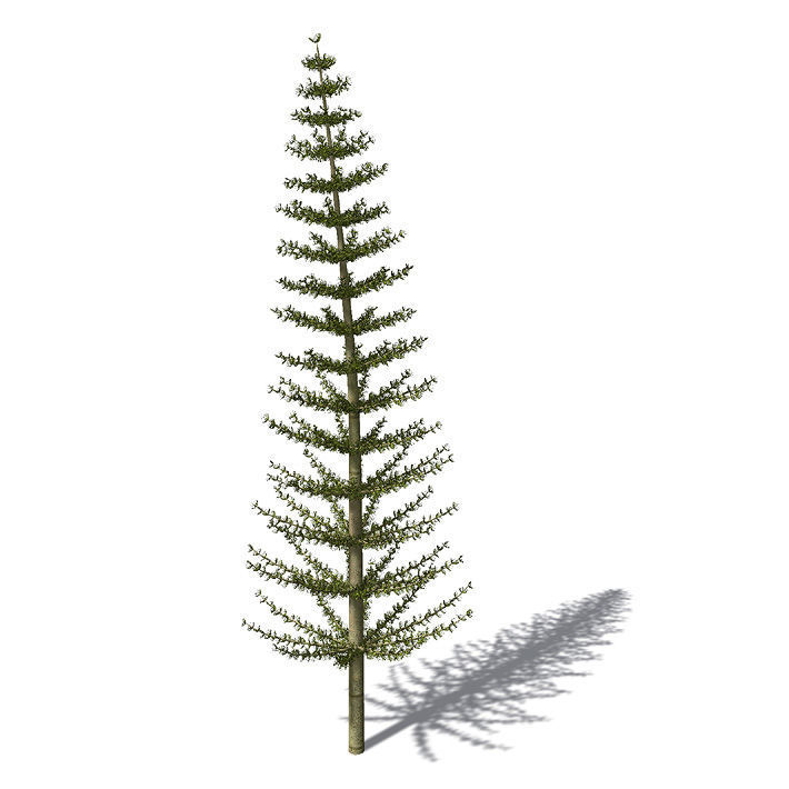 2020 XfrogPlants Prehistoric Library 3D model_5