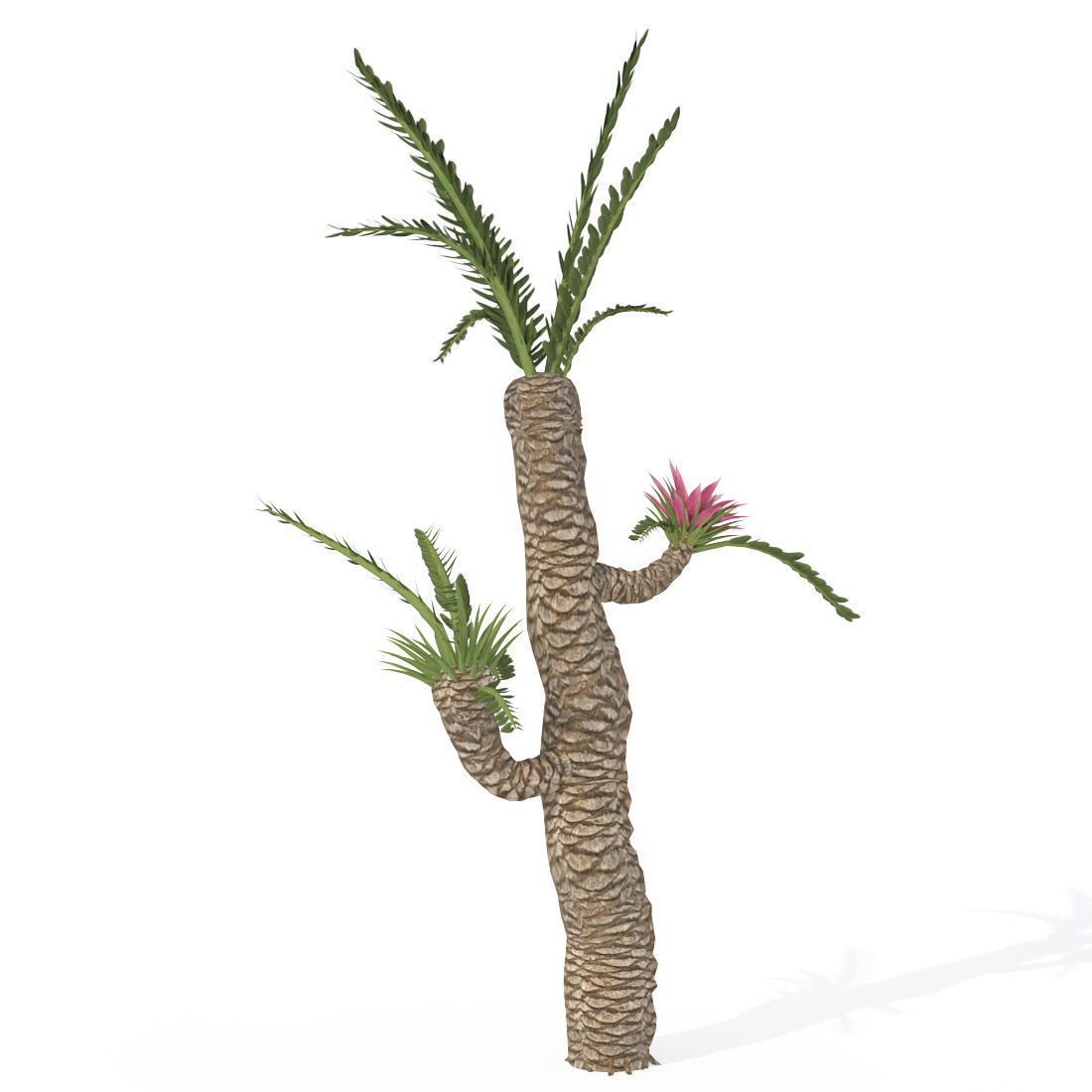 2020 XfrogPlants Prehistoric Library 3D model_8