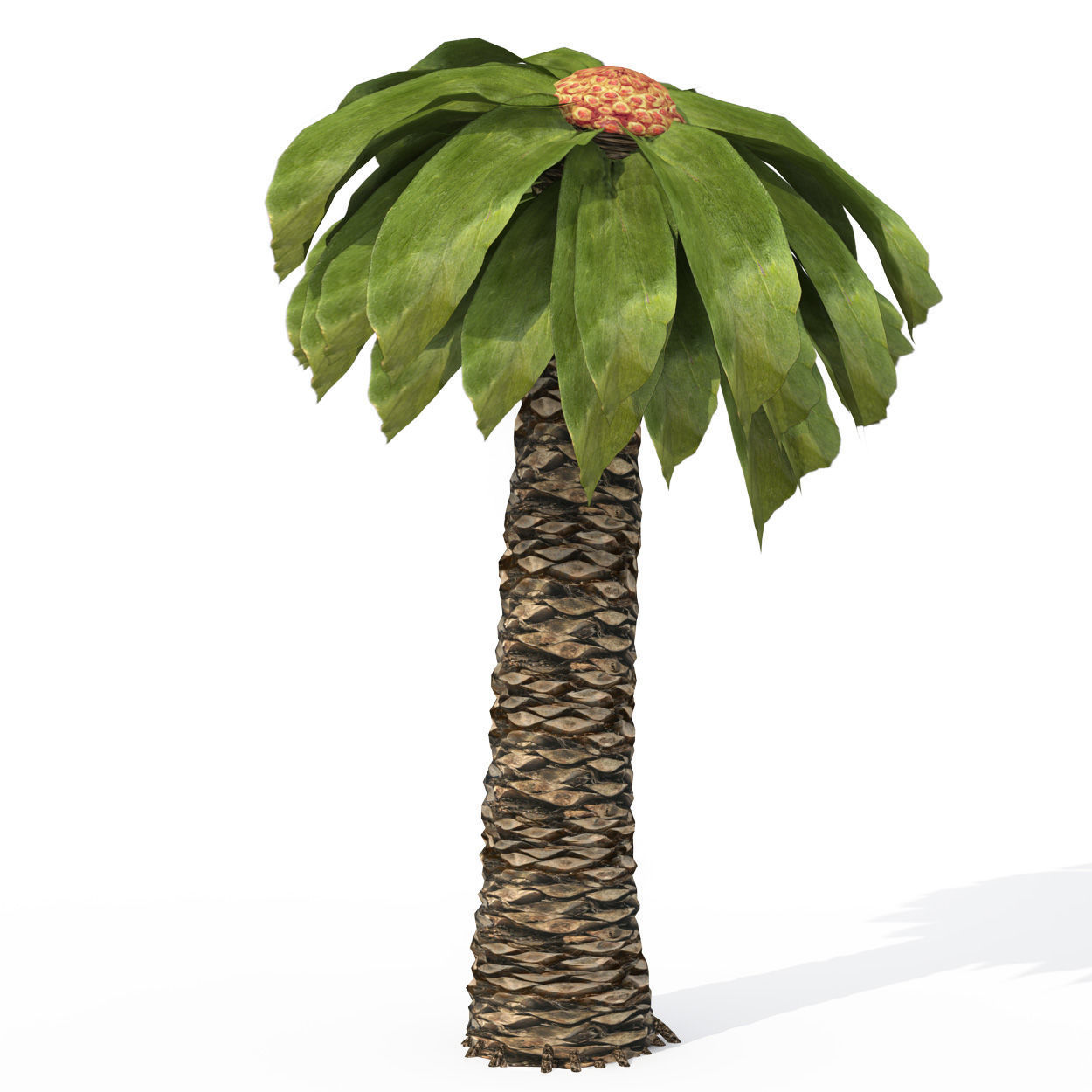 2020 XfrogPlants Prehistoric Library 3D model_6