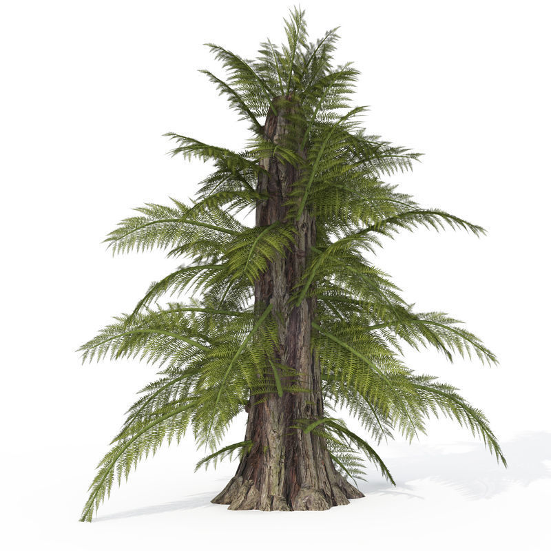 2020 XfrogPlants Prehistoric Library 3D model_4