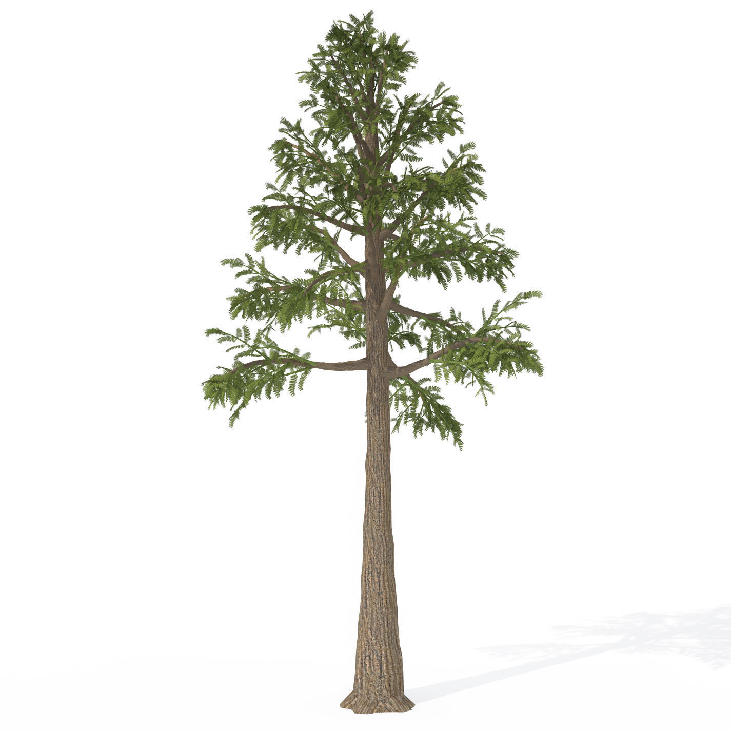 2020 XfrogPlants Prehistoric Library 3D model_2