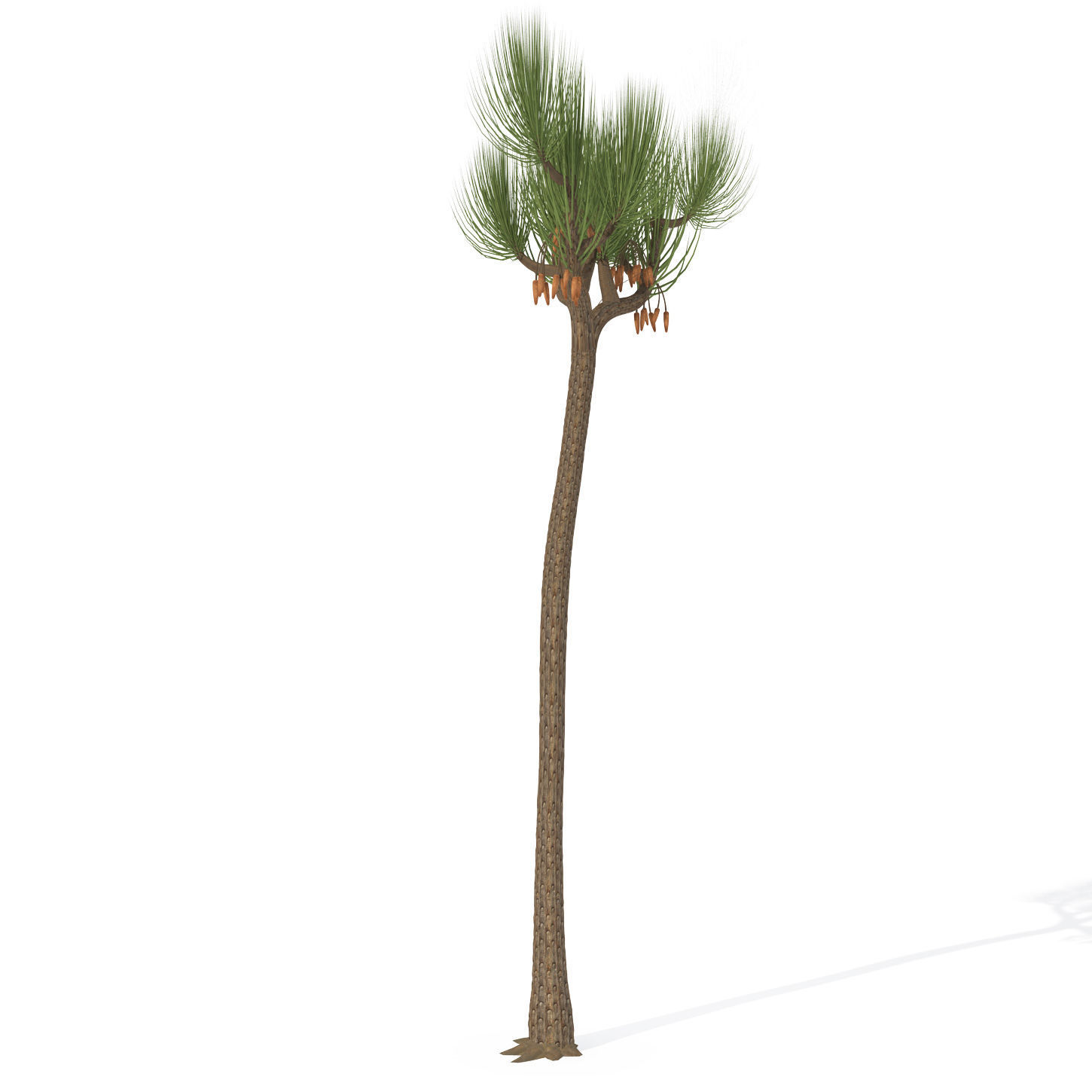 2020 XfrogPlants Prehistoric Library 3D model_7
