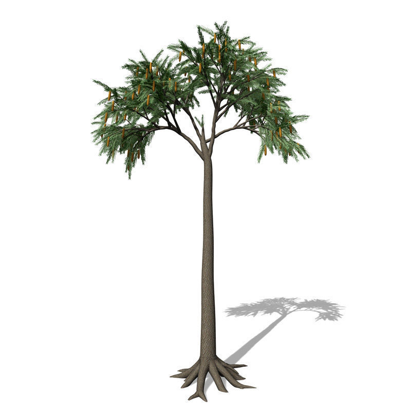 2020 XfrogPlants Prehistoric Library 3D model_3