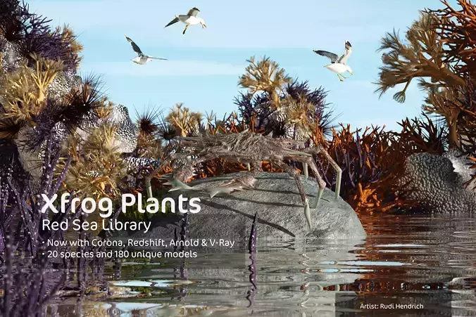 2020 XfrogPlants Red Sea Library  3D model