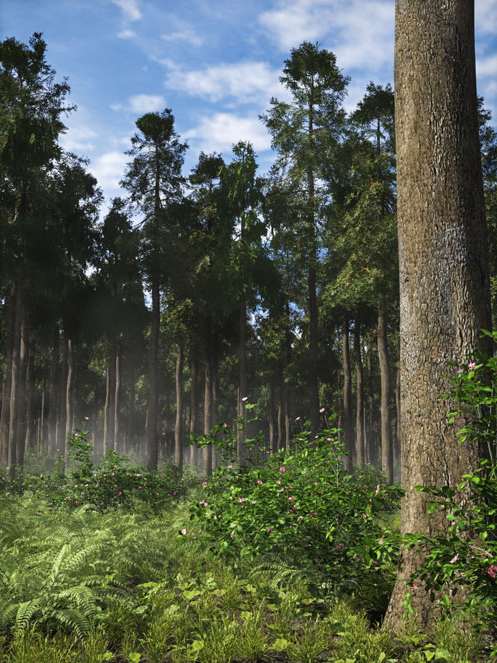 2020 XfrogPlants Shrubs Library  3D model_2