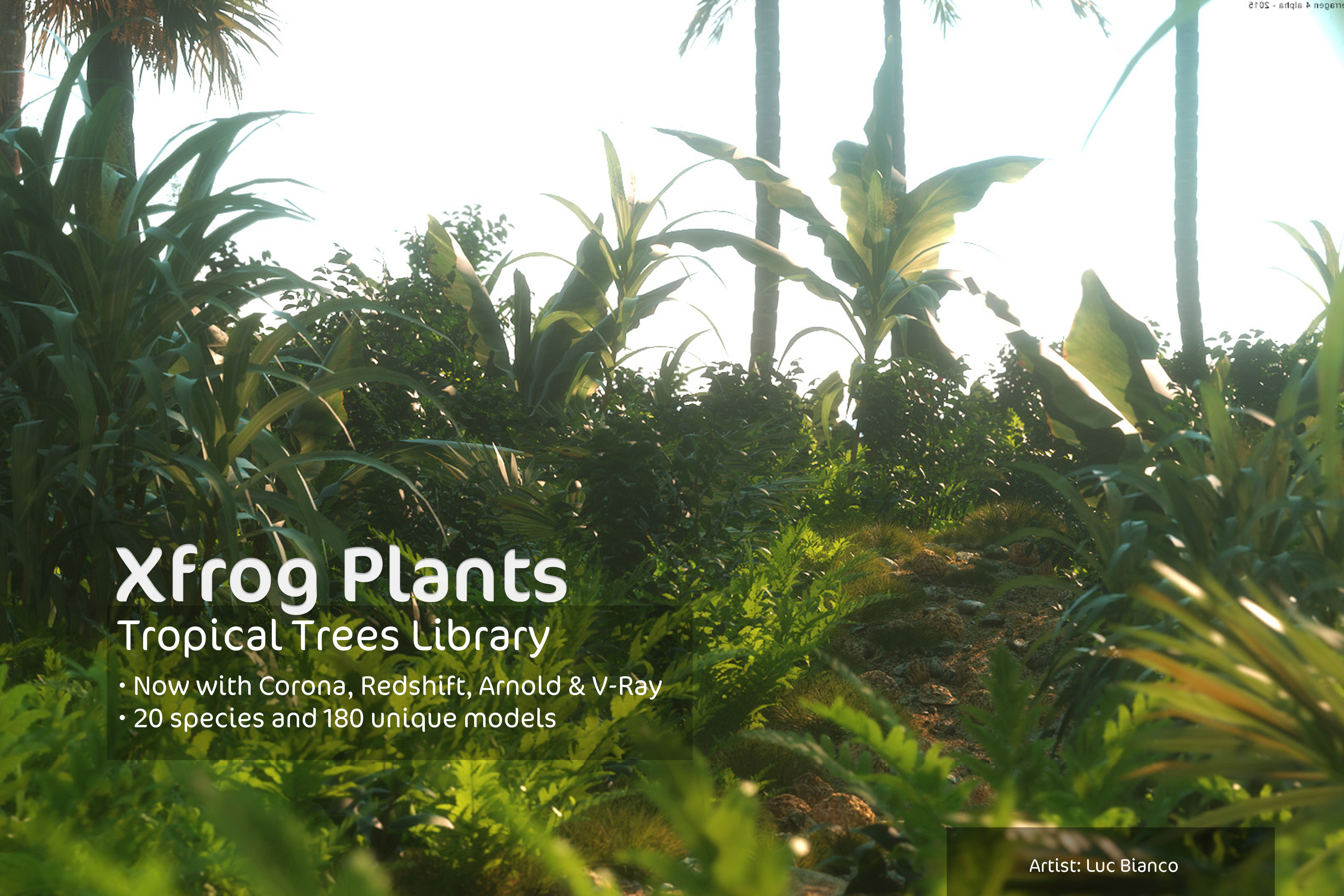 2020 XfrogPlants Tropical Trees Library