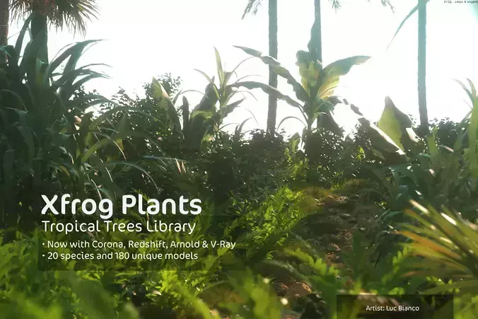 2020 XfrogPlants Tropical Trees Library  3D model
