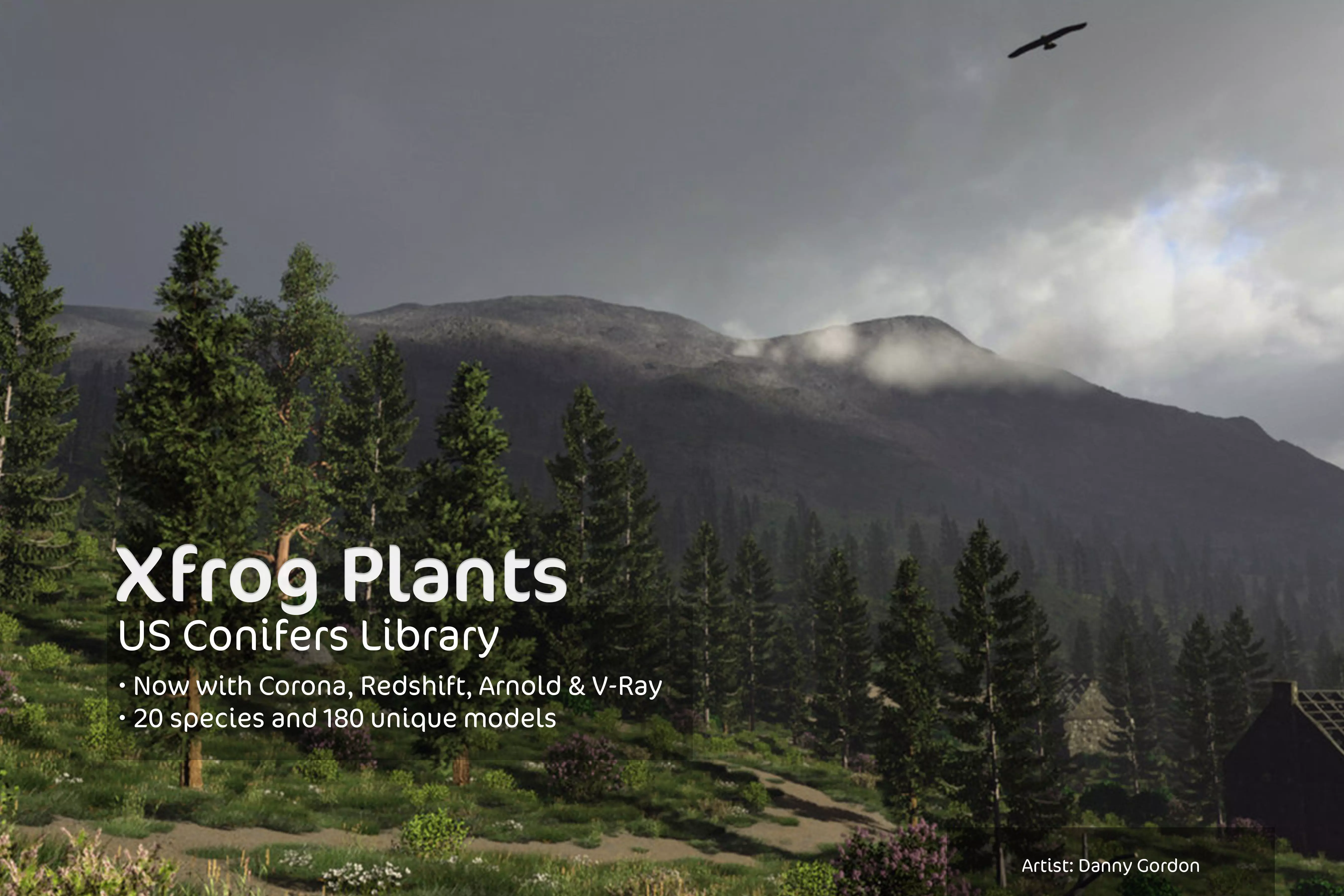 2020 XfrogPlants USA Conifers Library 3D model_0
