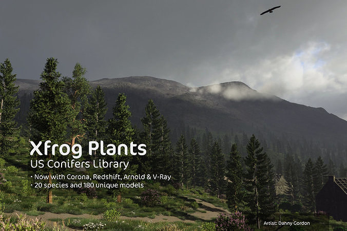 2020 XfrogPlants USA Conifers Library  3D model