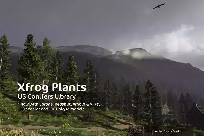 2020 XfrogPlants USA Conifers Library  3D model