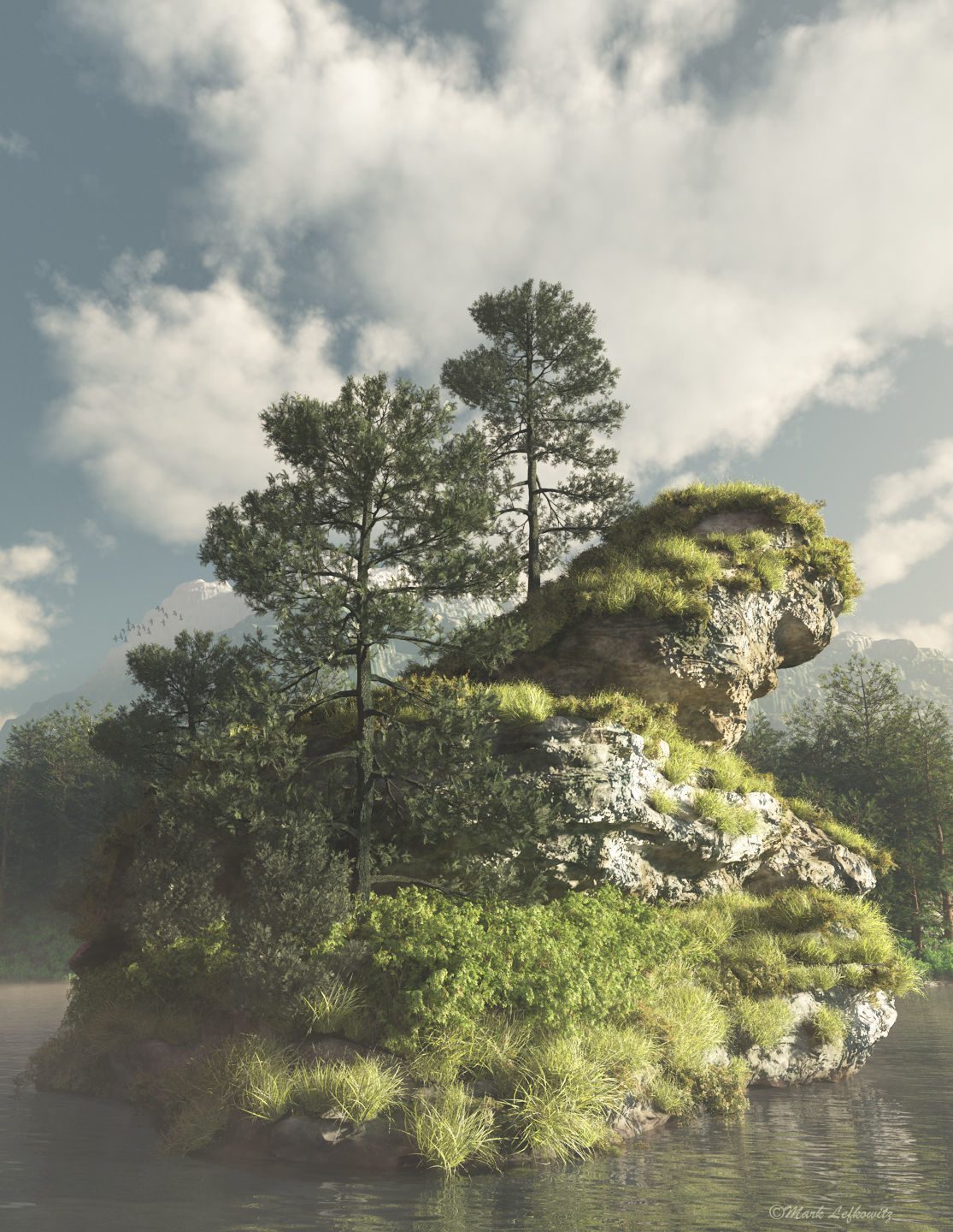 2020 XfrogPlants USA Conifers Library 3D model_2