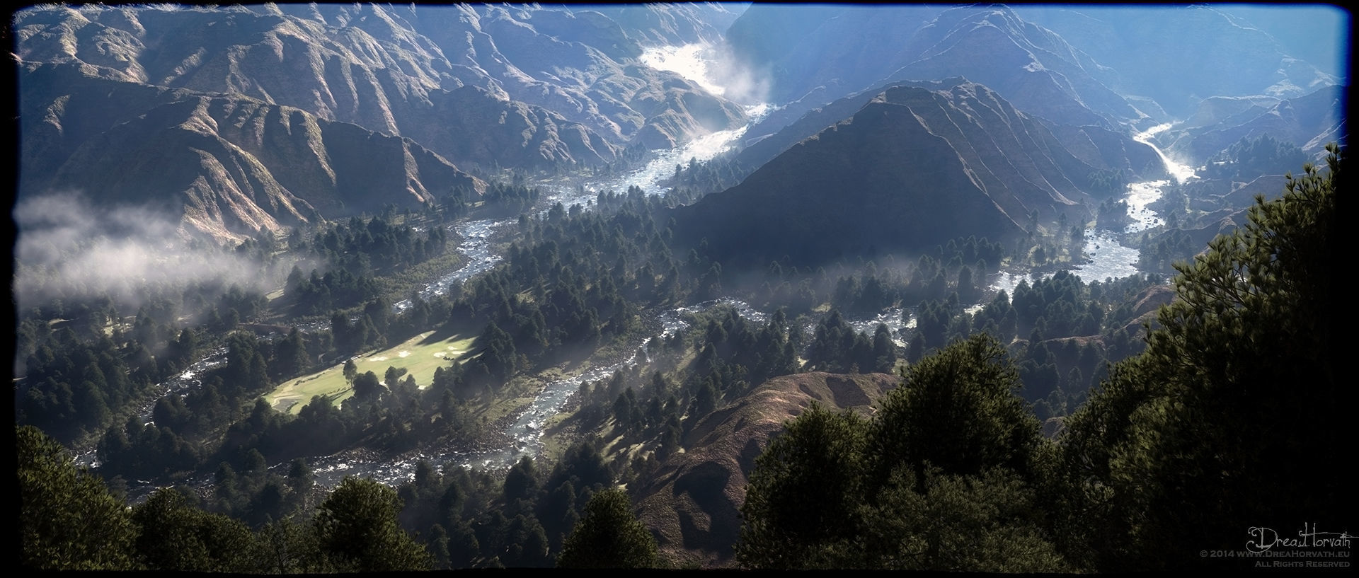 2020 XfrogPlants USA Conifers Library 3D model_1