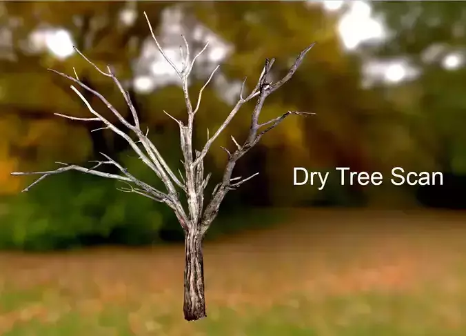 Dry Tree Scan Low-poly 3D model