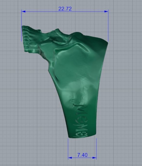 Skull ring engraving Memento mori 3D print model_8