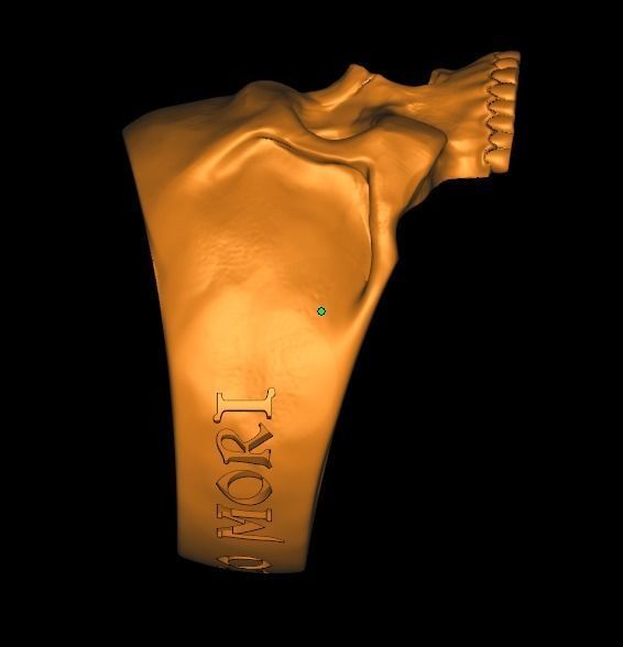 Skull ring engraving Memento mori 3D print model_17