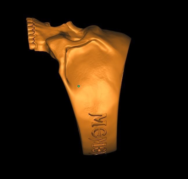 Skull ring engraving Memento mori 3D print model_16