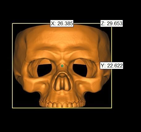 Skull ring engraving Memento mori 3D print model_12