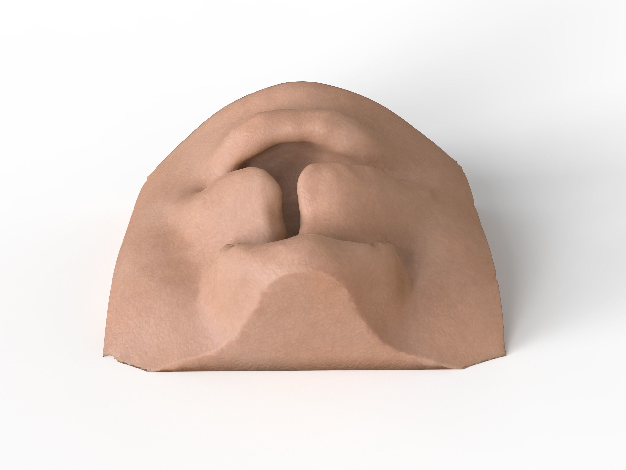 cleft lip and palate for surgical simulation 3D print model_4