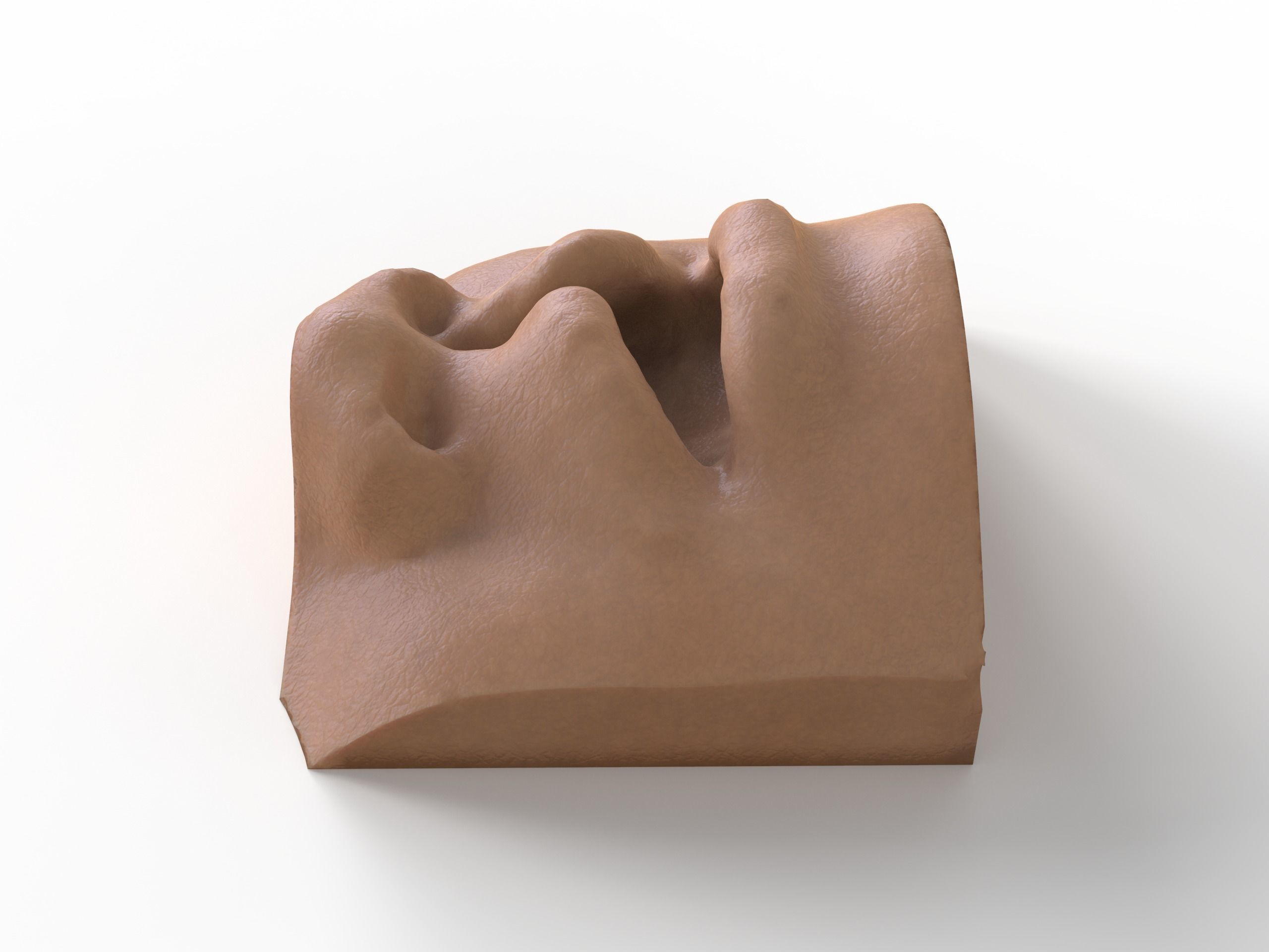cleft lip and palate for surgical simulation 3D print model_1