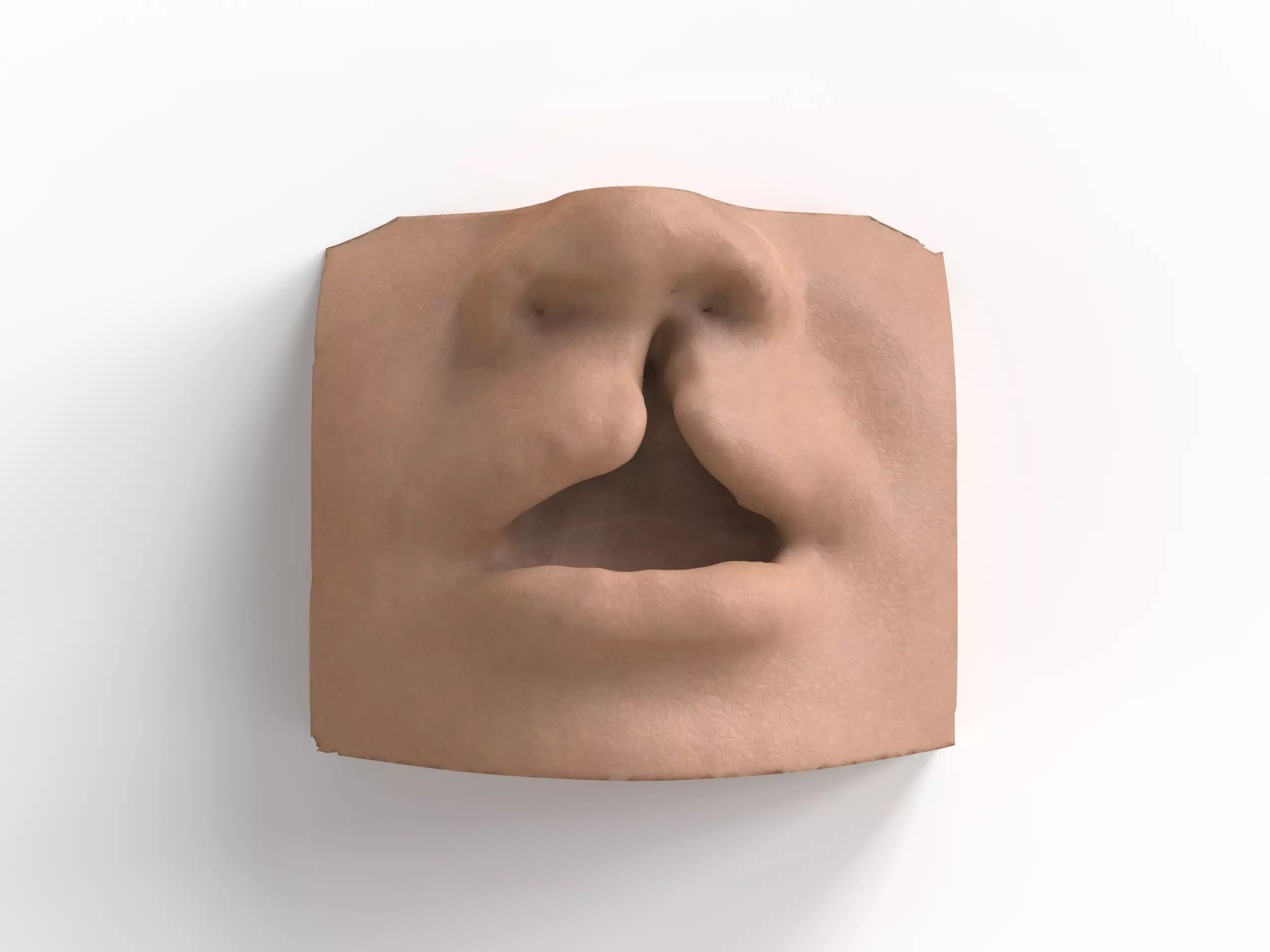 cleft lip and palate for surgical simulation 3D print model_0