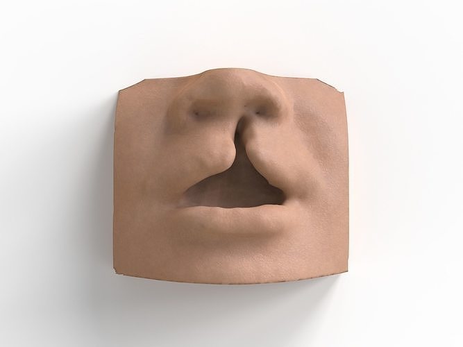 cleft lip and palate for surgical simulation 3D print model
