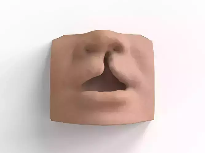 cleft lip and palate for surgical simulation 3D print model