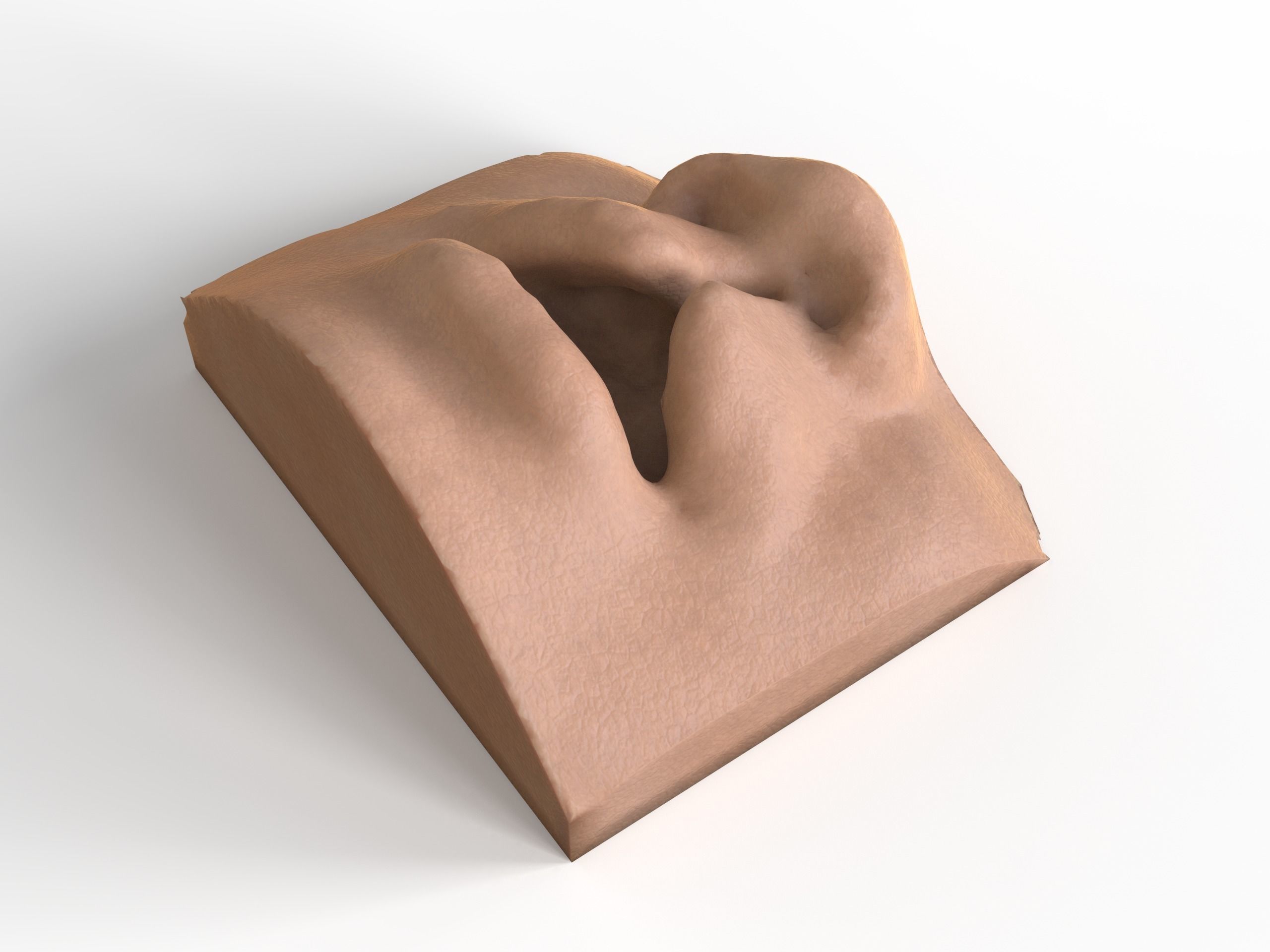 cleft lip and palate for surgical simulation 3D print model_2