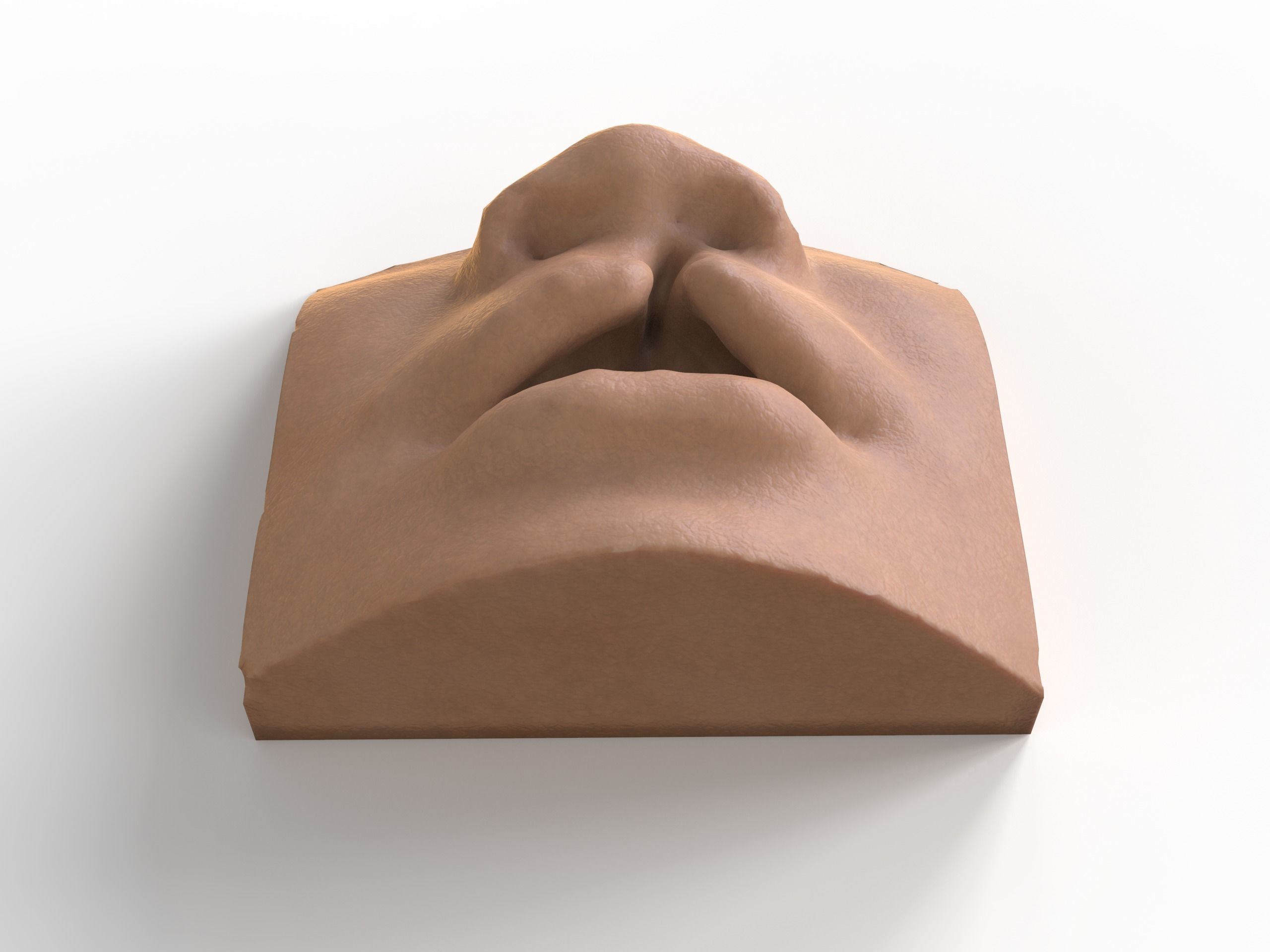 cleft lip and palate for surgical simulation 3D print model_3