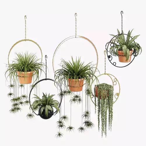 Crescent Moon Hanger